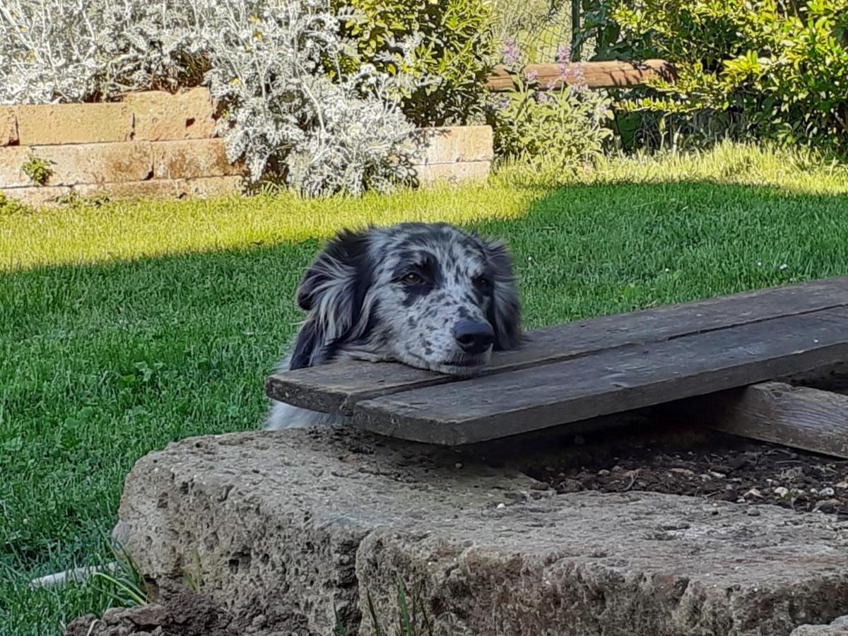 Agriturismo Casa Rosa Werona Zewnętrze zdjęcie