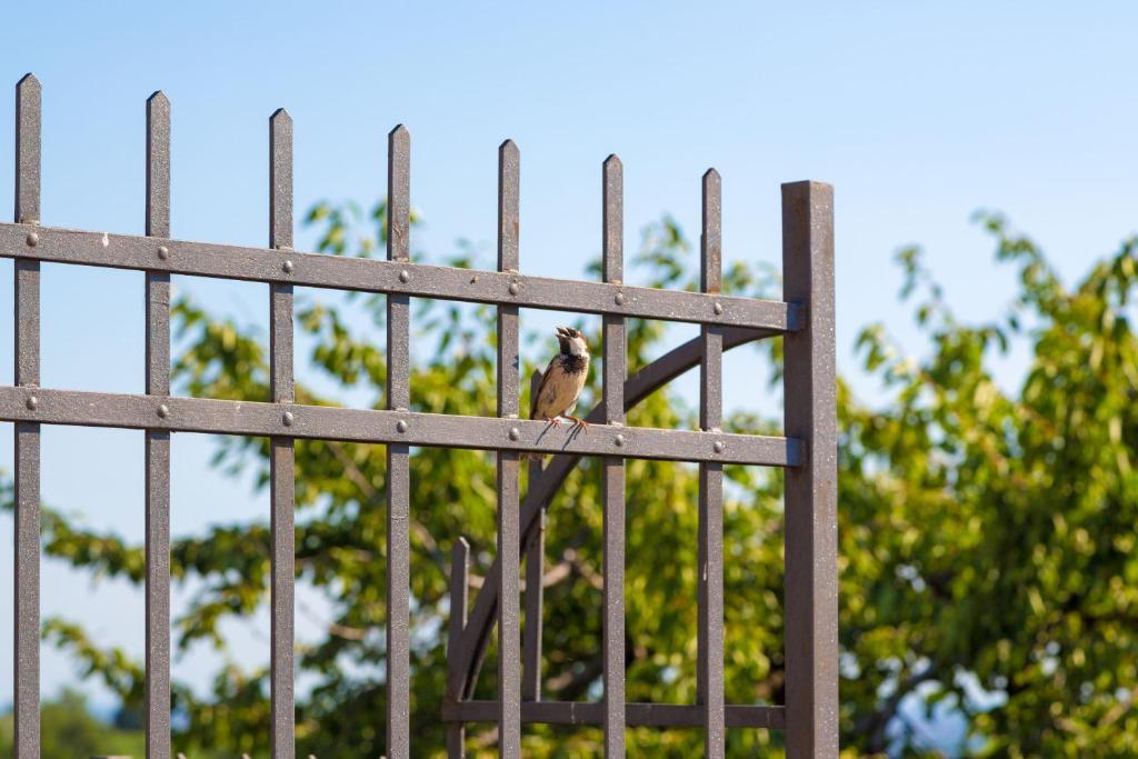 Agriturismo Casa Rosa Werona Zewnętrze zdjęcie