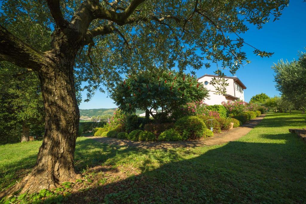 Agriturismo Casa Rosa Werona Zewnętrze zdjęcie